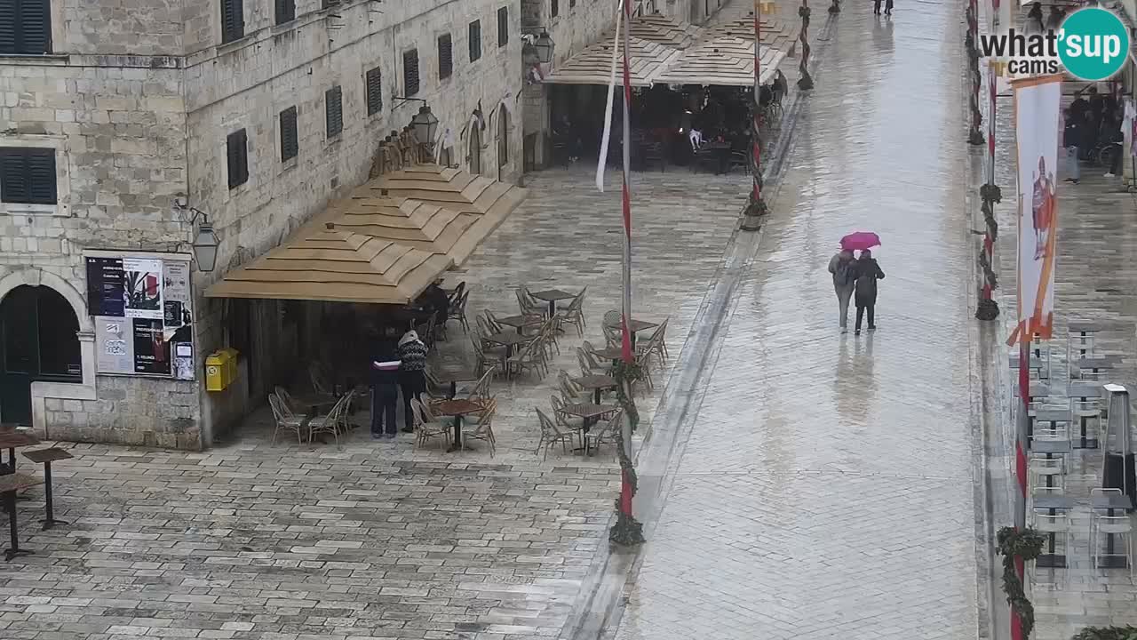 Camera en vivo Dubrovnik Stradun