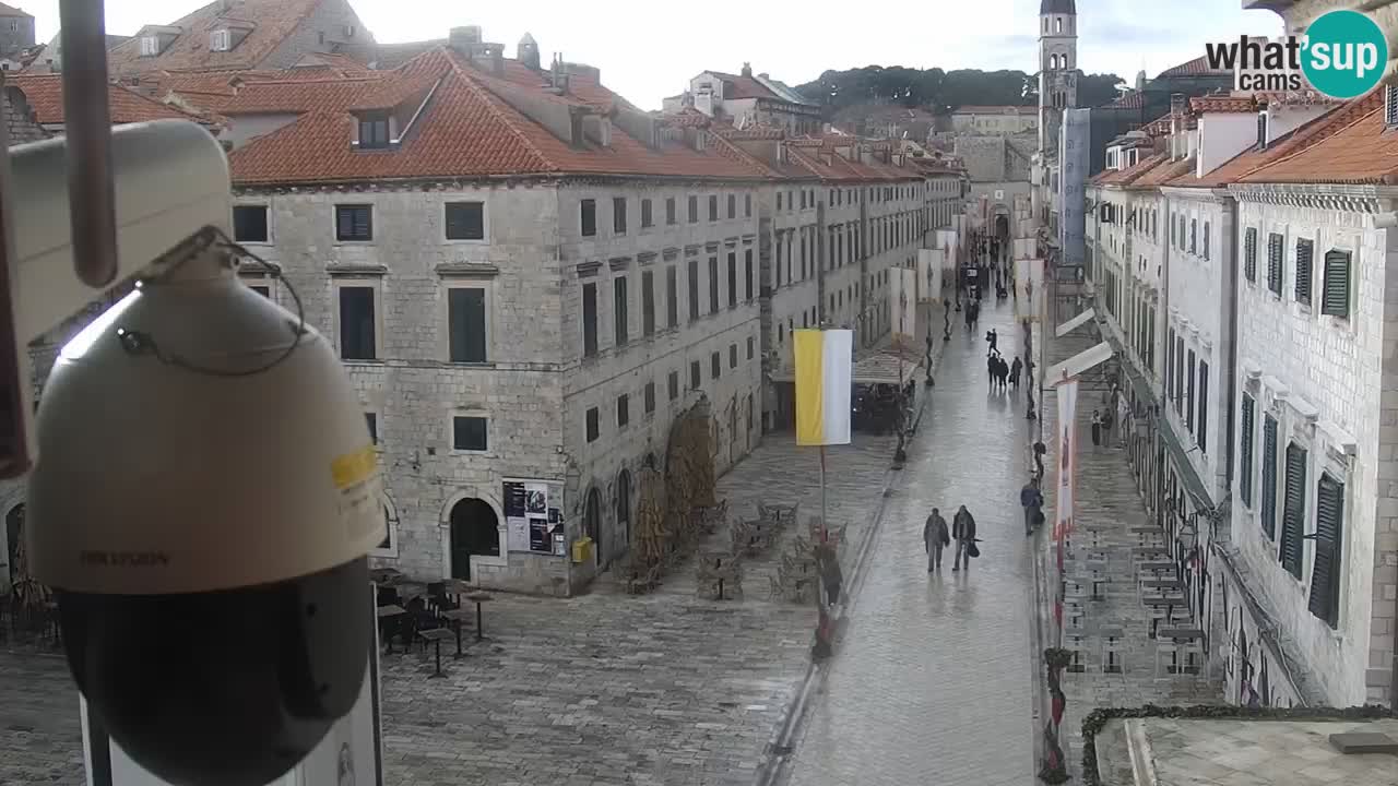 Live Webcam Dubrovnik Stradun