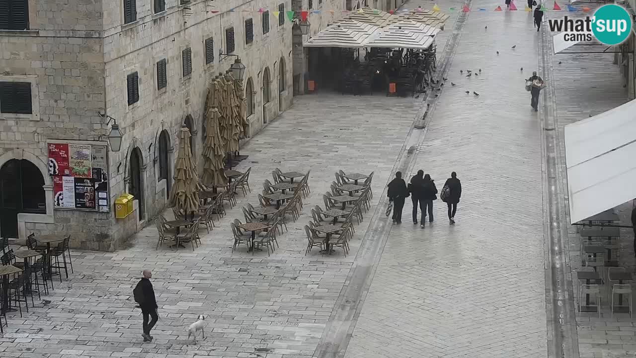 Livecam Dubrovnik Stradun