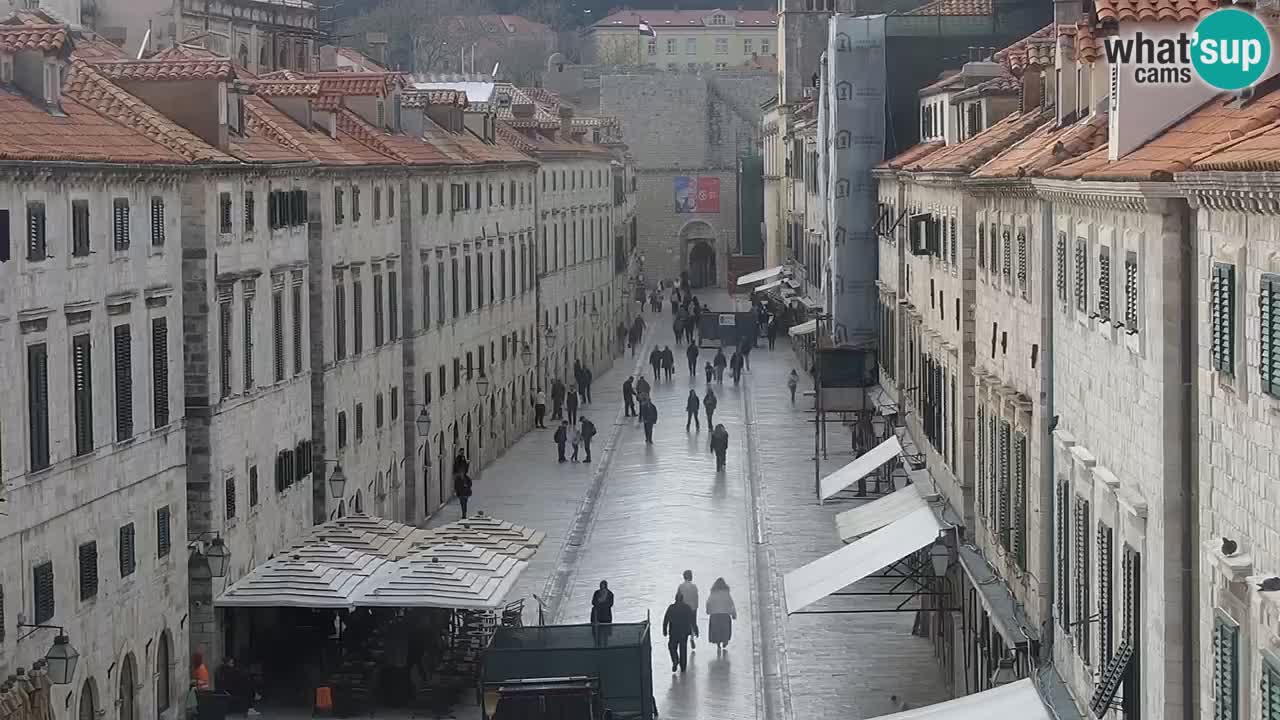 Livecam Dubrovnik Stradun