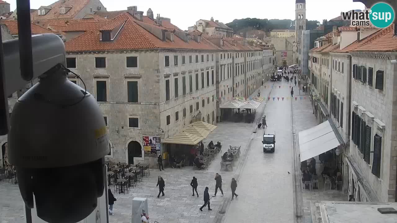 Livecam Dubrovnik Stradun