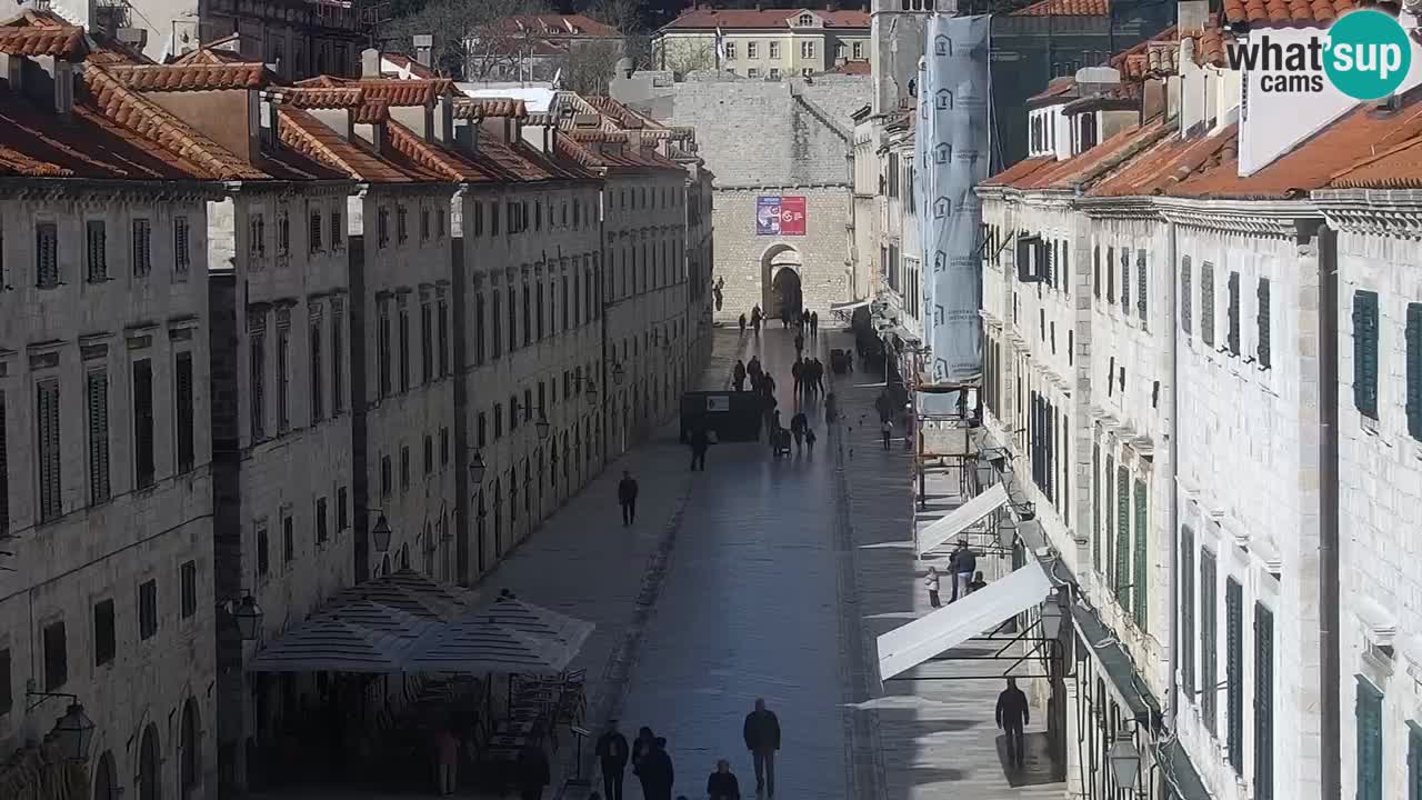 Livecam Dubrovnik Stradun