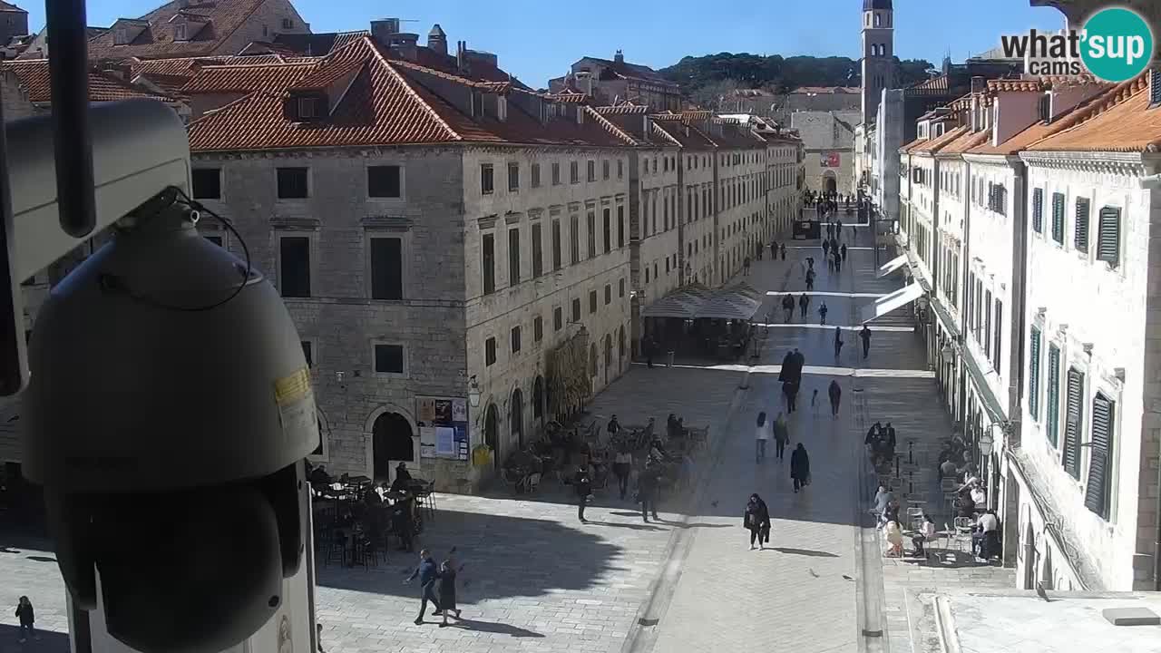Livecam Dubrovnik Stradun