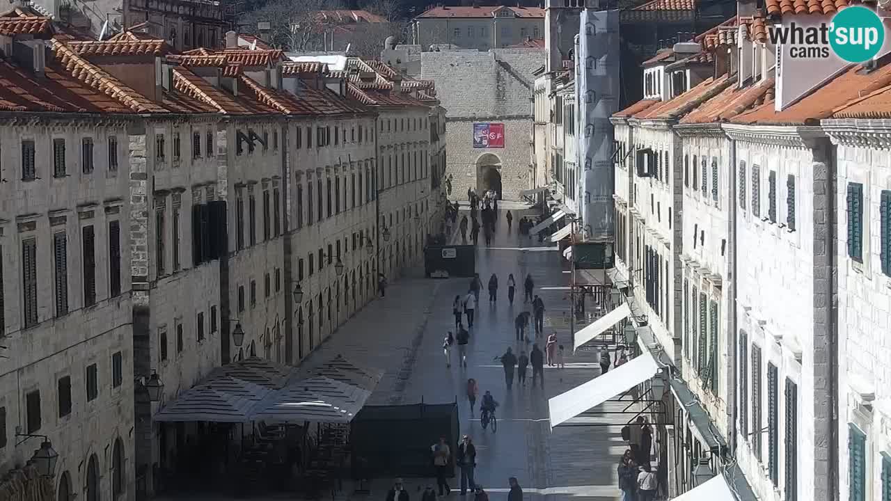 Livecam Dubrovnik Stradun