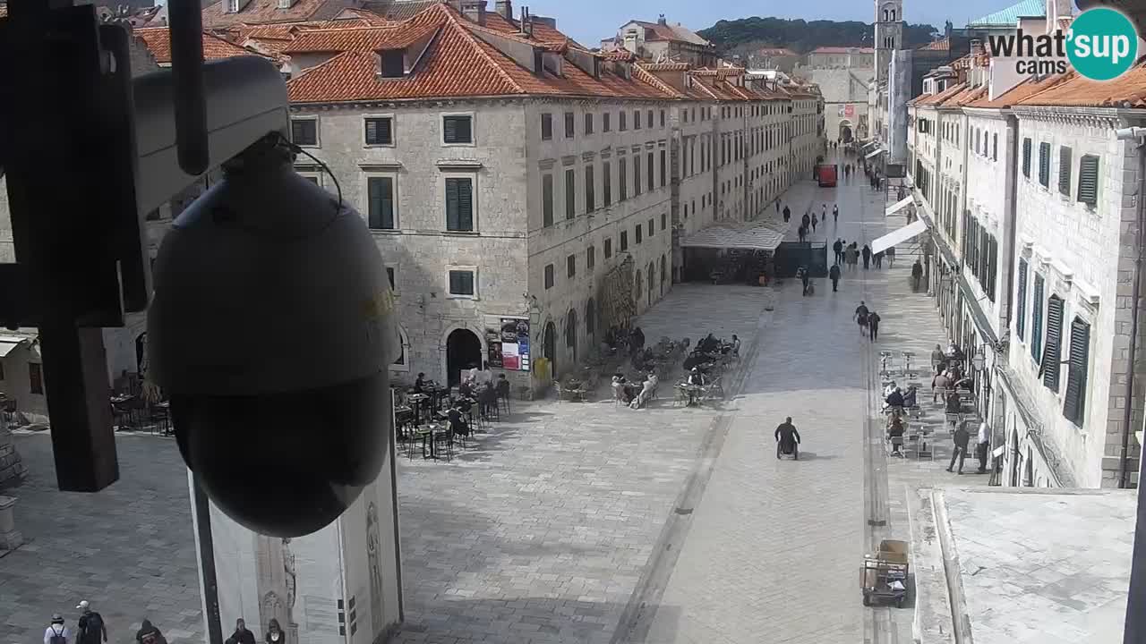 Livecam Dubrovnik Stradun