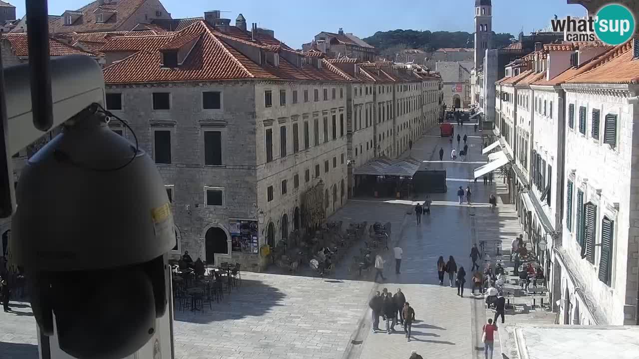 Livecam Dubrovnik Stradun