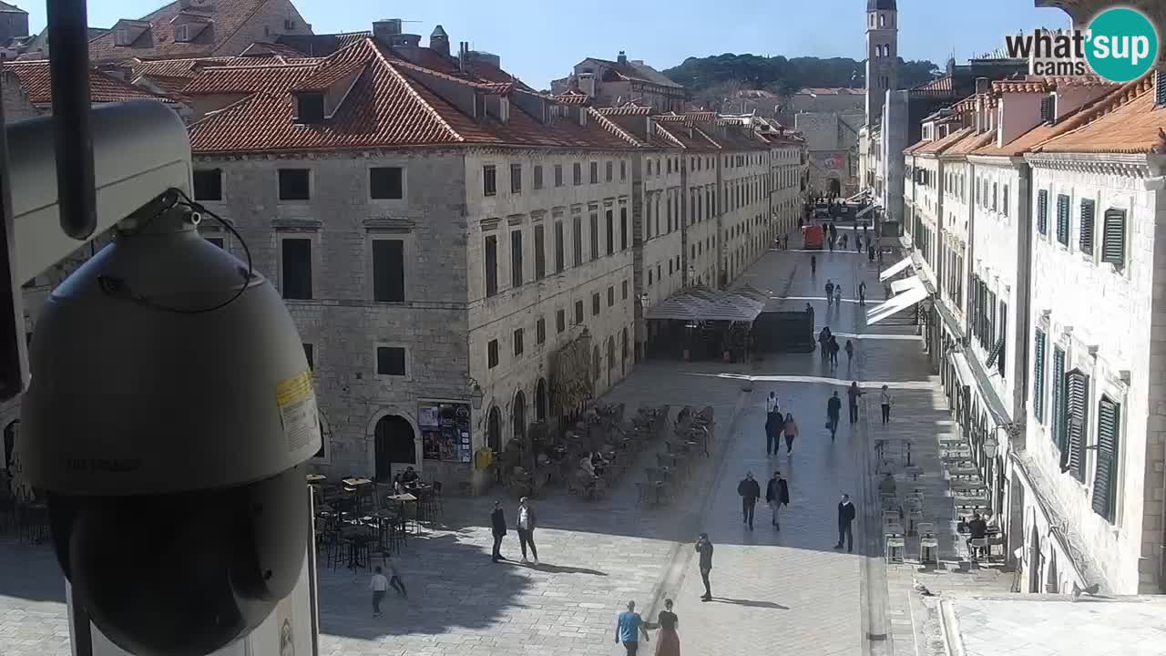 Live Webcam Dubrovnik Stradun