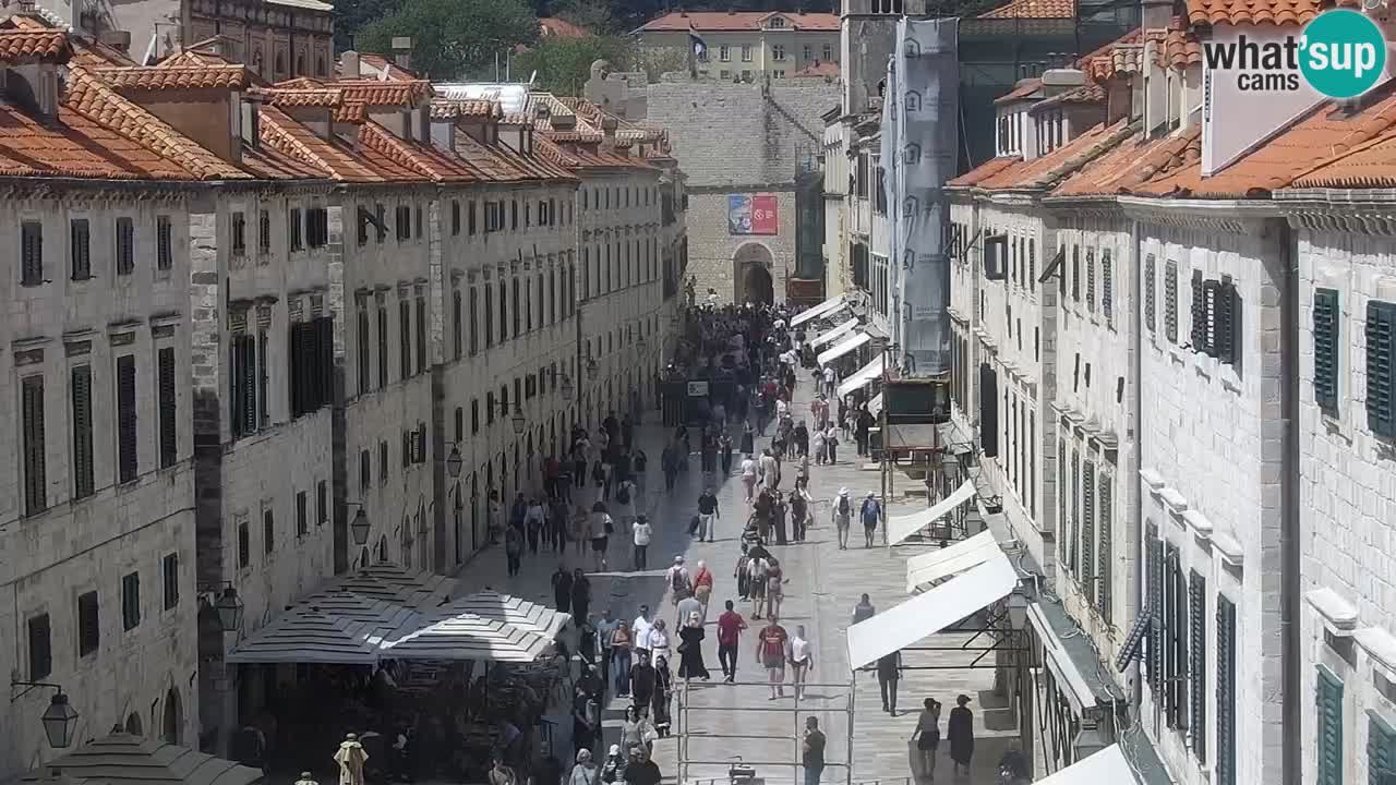 Live Webcam Dubrovnik Stradun