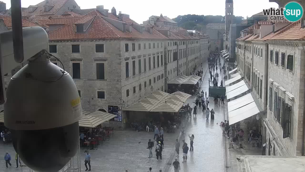 Livecam Dubrovnik Stradun