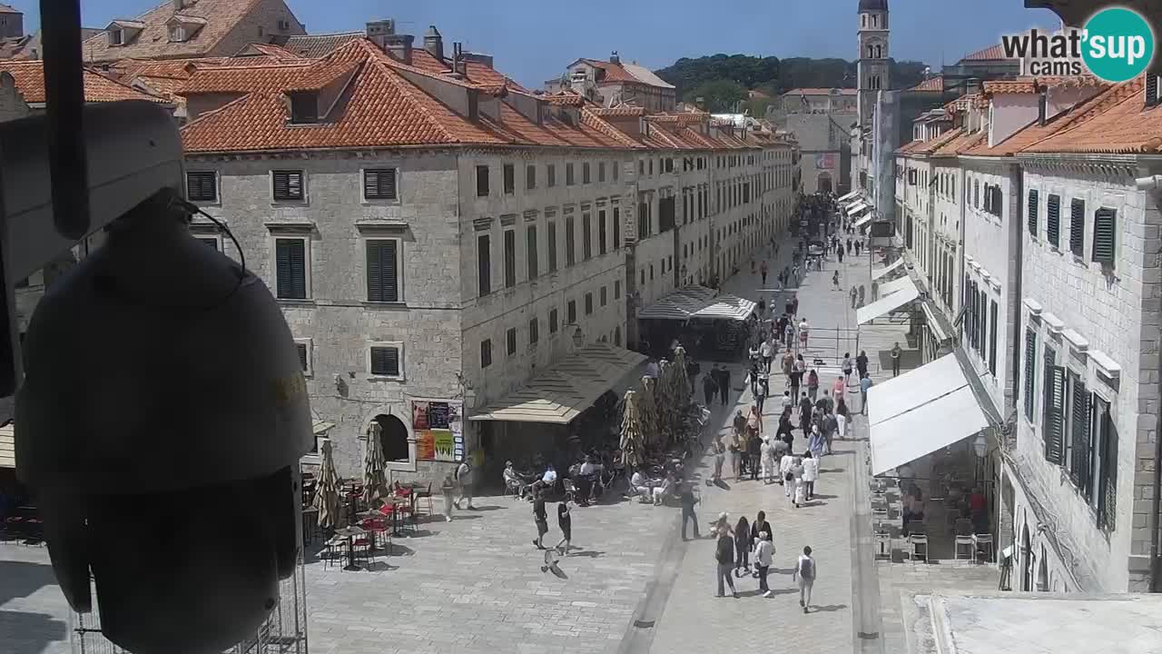 Livecam Dubrovnik Stradun