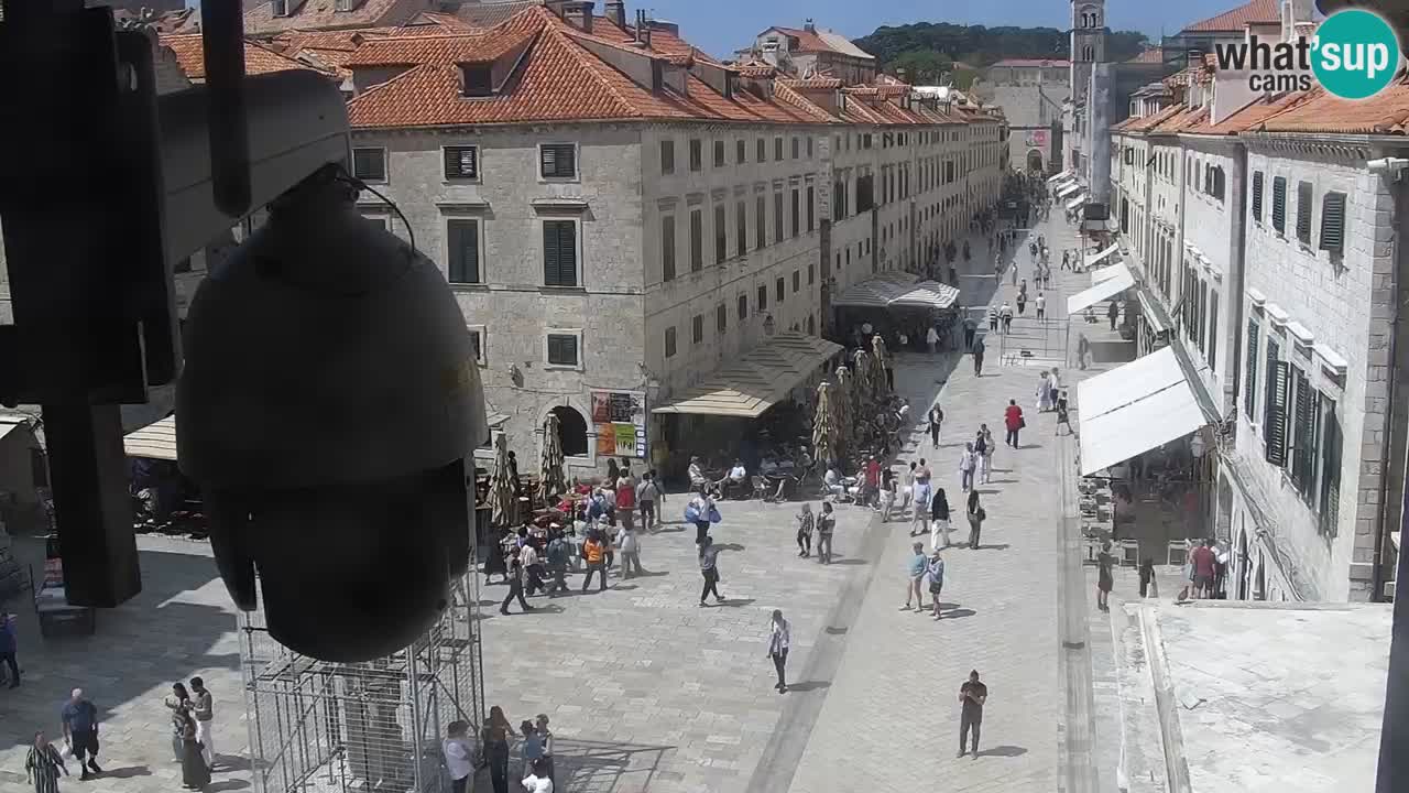 Live Webcam Dubrovnik Stradun