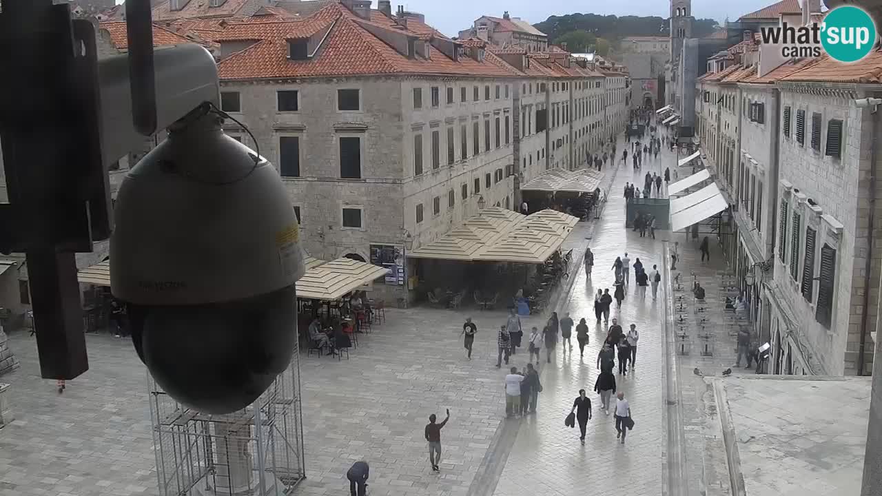 Livecam Dubrovnik Stradun