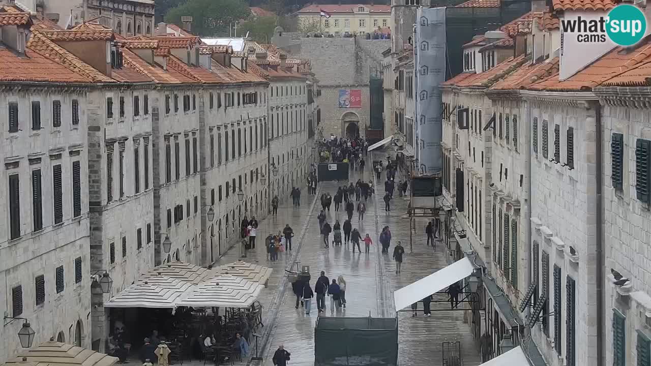 Live Webcam Dubrovnik Stradun