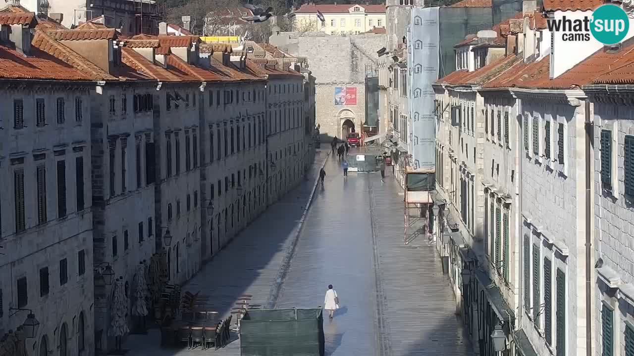 Livecam Dubrovnik Stradun