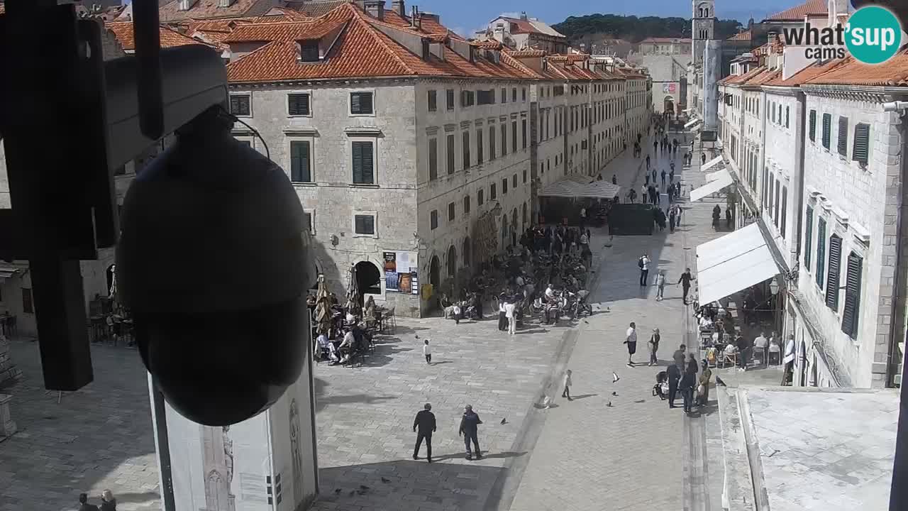Camera en vivo Dubrovnik Stradun