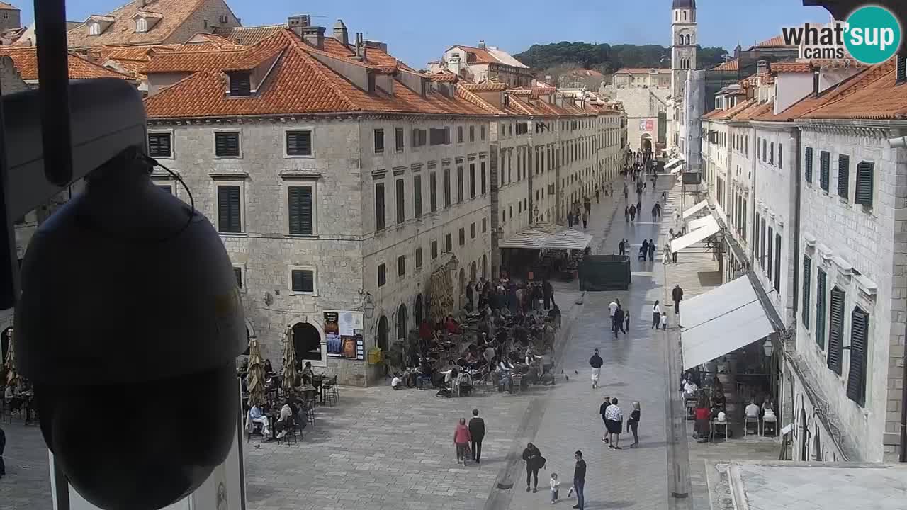 Camera en vivo Dubrovnik Stradun