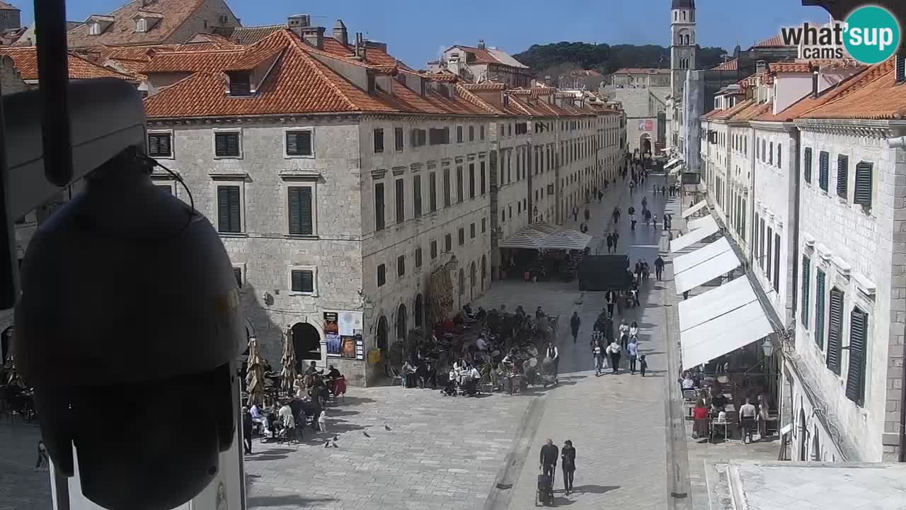 Camera en vivo Dubrovnik Stradun