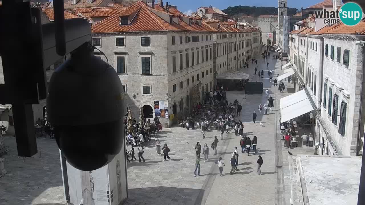 Livecam Dubrovnik Stradun