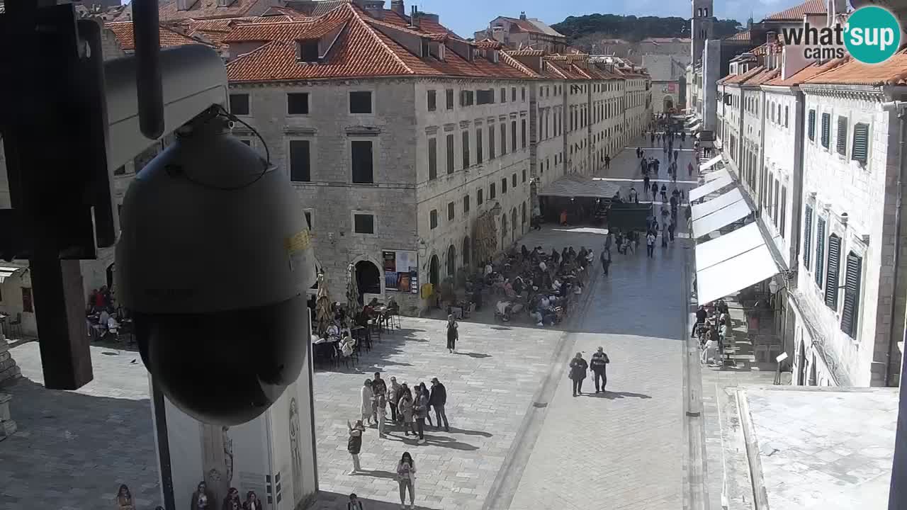 Livecam Dubrovnik Stradun
