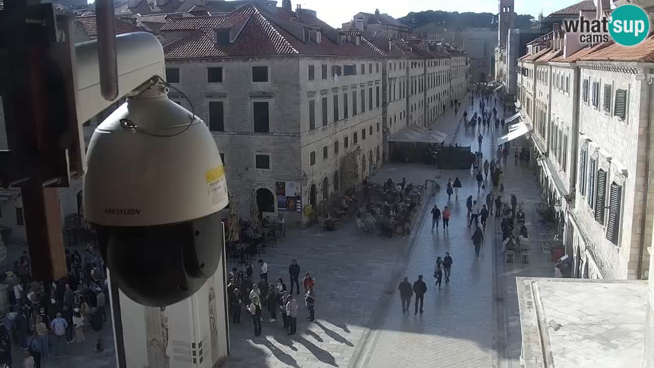 Livecam Dubrovnik Stradun