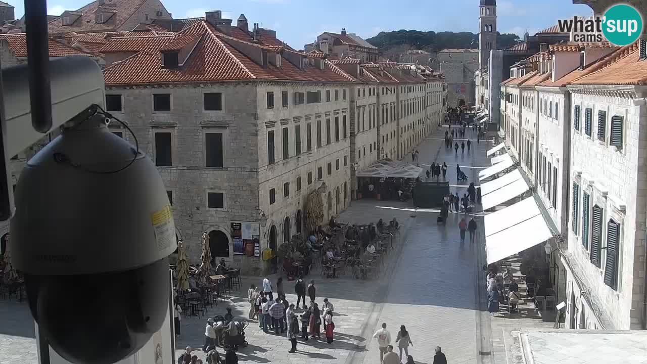 Livecam Dubrovnik Stradun
