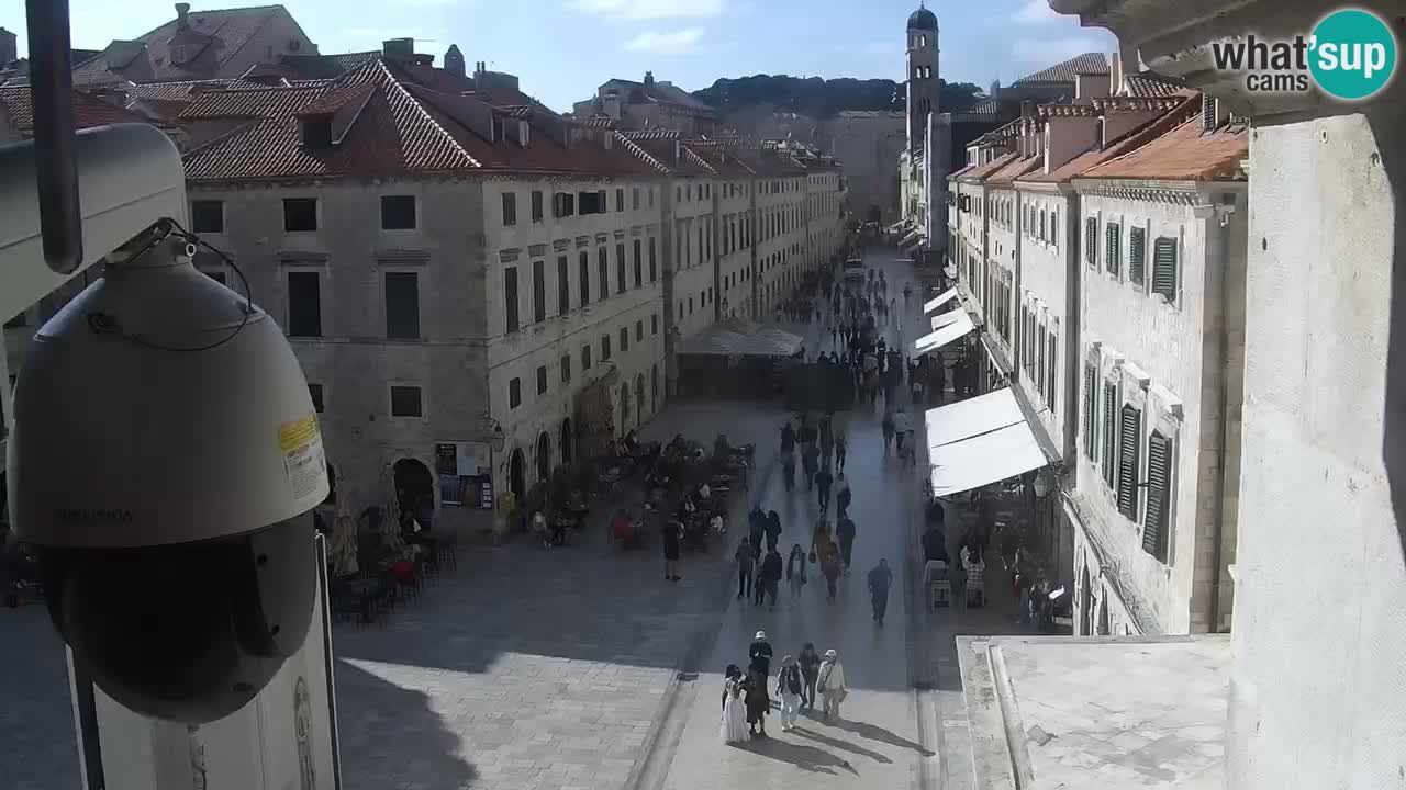 Live Webcam Dubrovnik Stradun