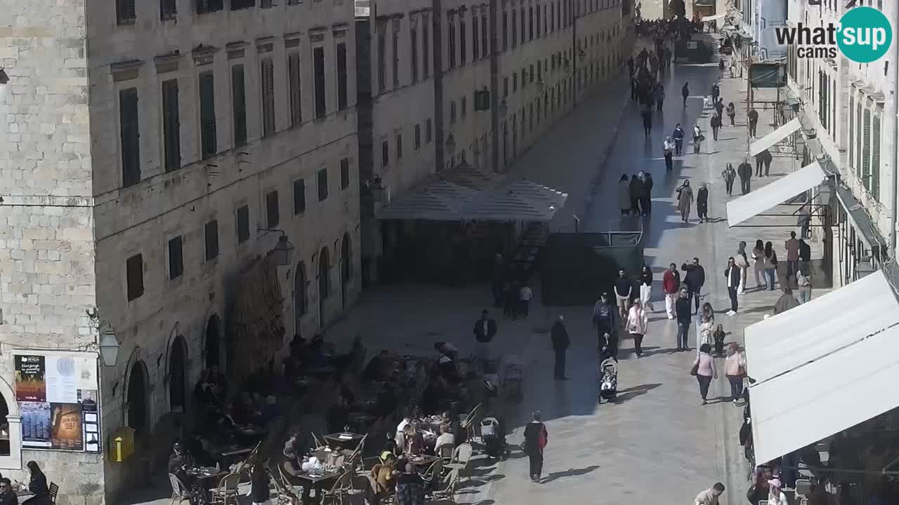 Livecam Dubrovnik Stradun