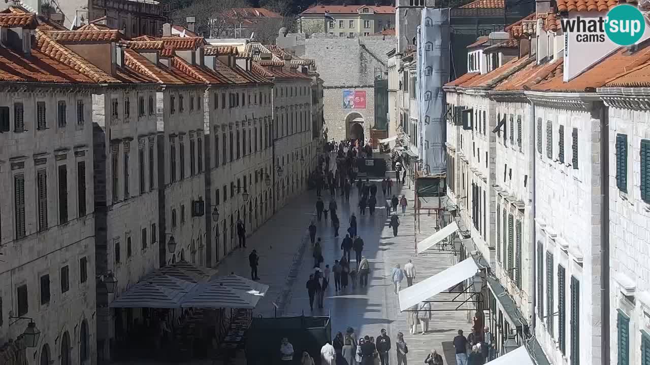 Livecam Dubrovnik Stradun