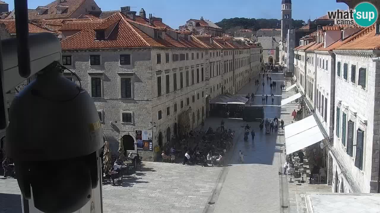 Live Webcam Dubrovnik Stradun