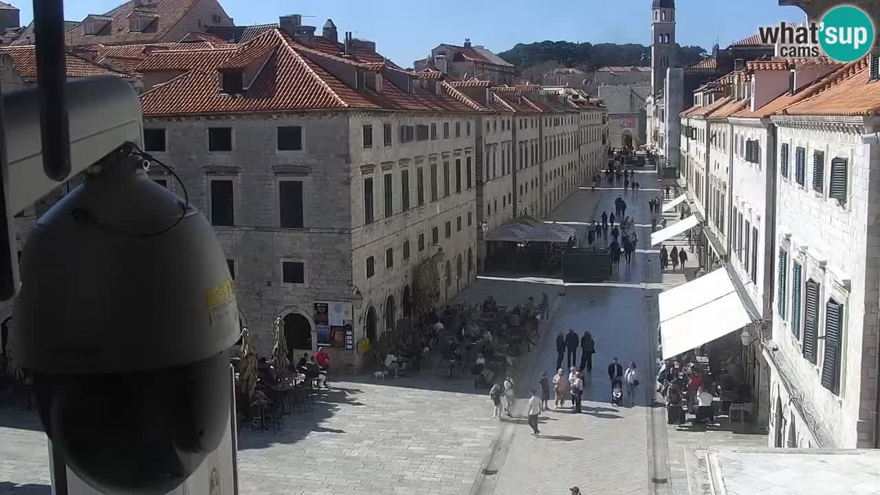 Live Webcam Dubrovnik Stradun
