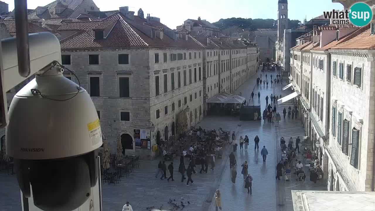 Live Webcam Dubrovnik Stradun