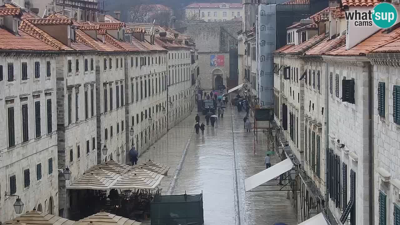 Live Webcam Dubrovnik Stradun