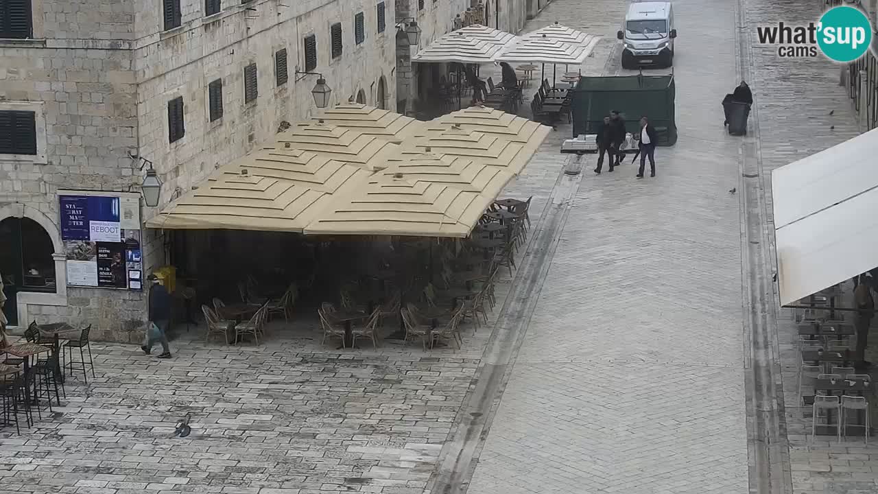 Live Webcam Dubrovnik Stradun