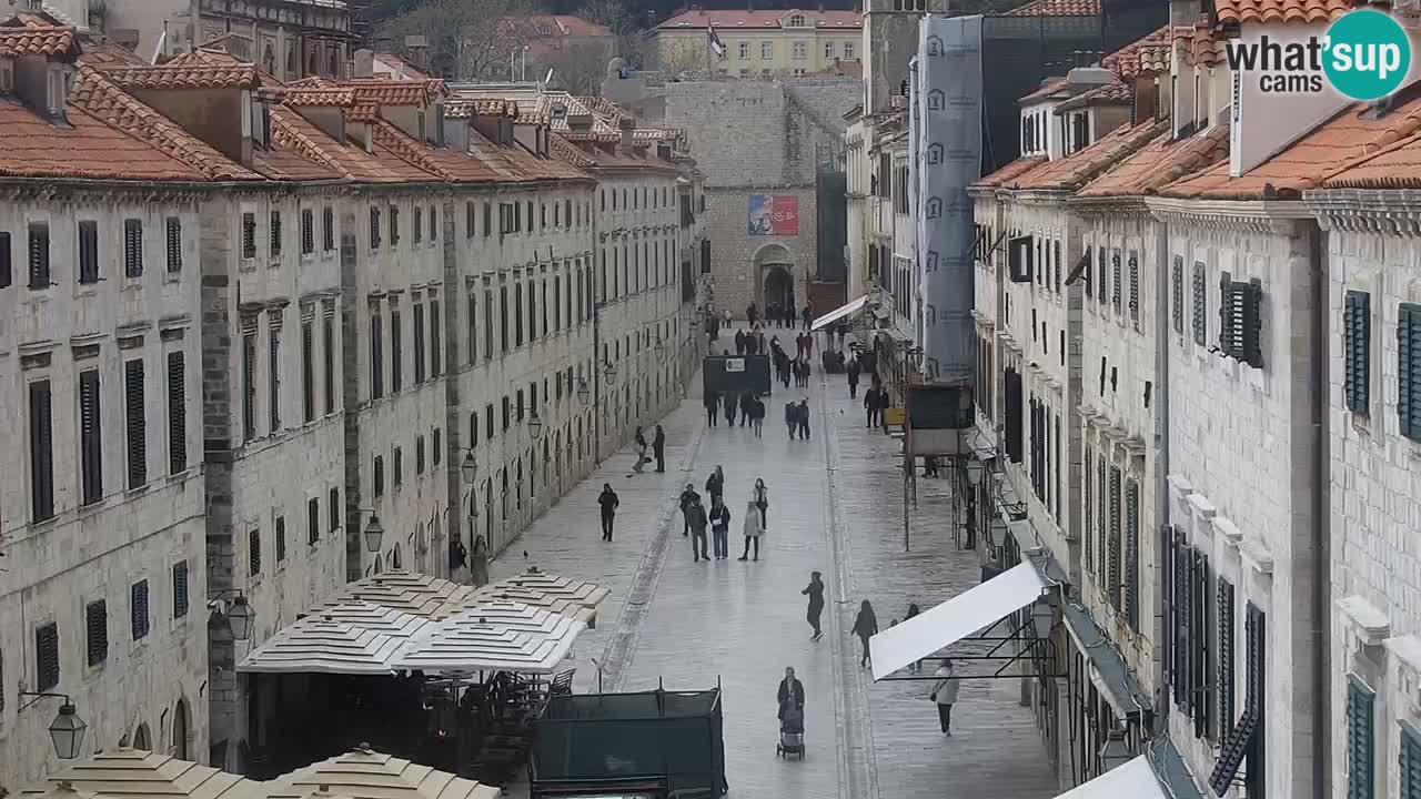 Livecam Dubrovnik Stradun