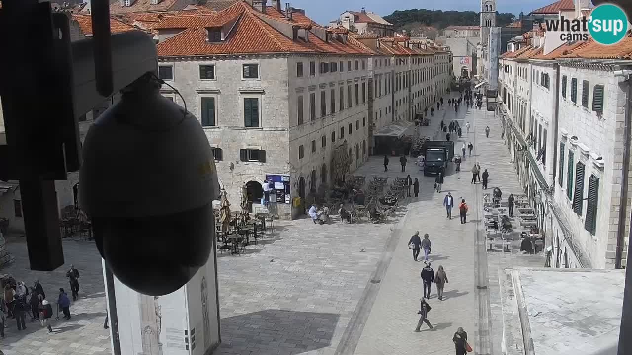 Camera en vivo Dubrovnik Stradun