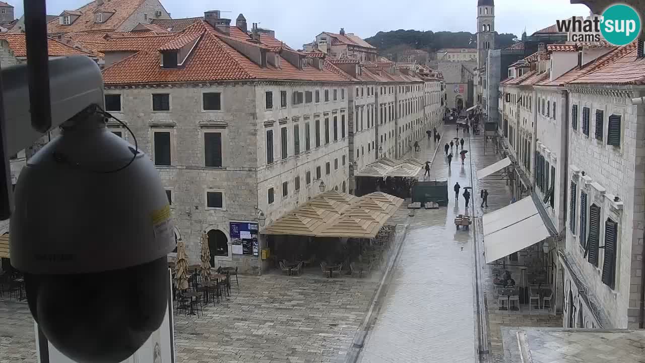 Livecam Dubrovnik Stradun