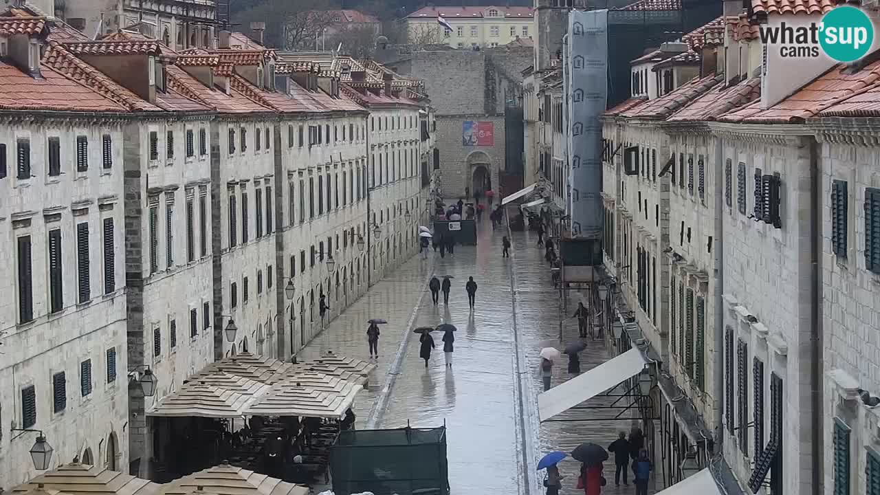 Livecam Dubrovnik Stradun