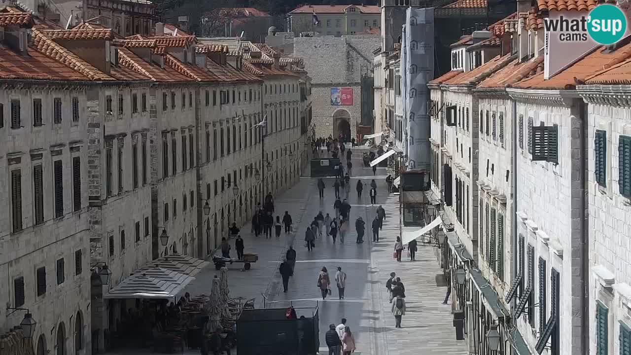 Livecam Dubrovnik Stradun