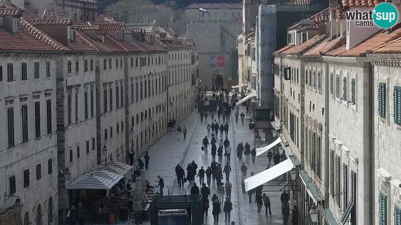 Camera en vivo Dubrovnik Stradun