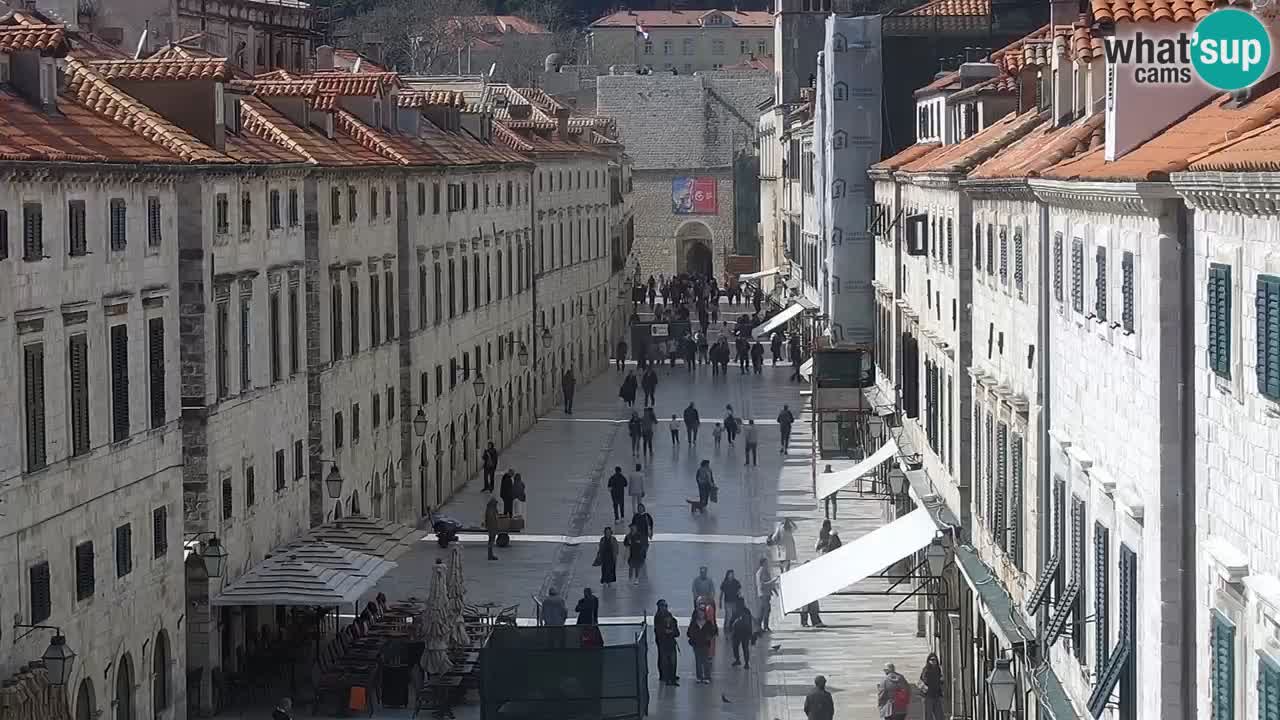 Webcam Ragusa (Dubrovnik) Stradun