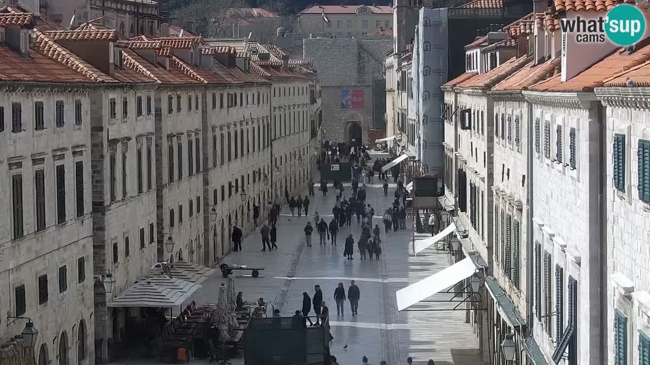 Webcam Ragusa (Dubrovnik) Stradun