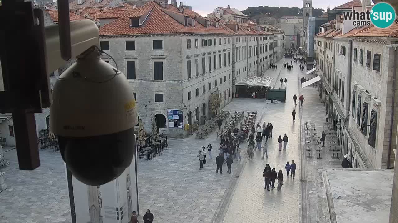 Live Webcam Dubrovnik Stradun