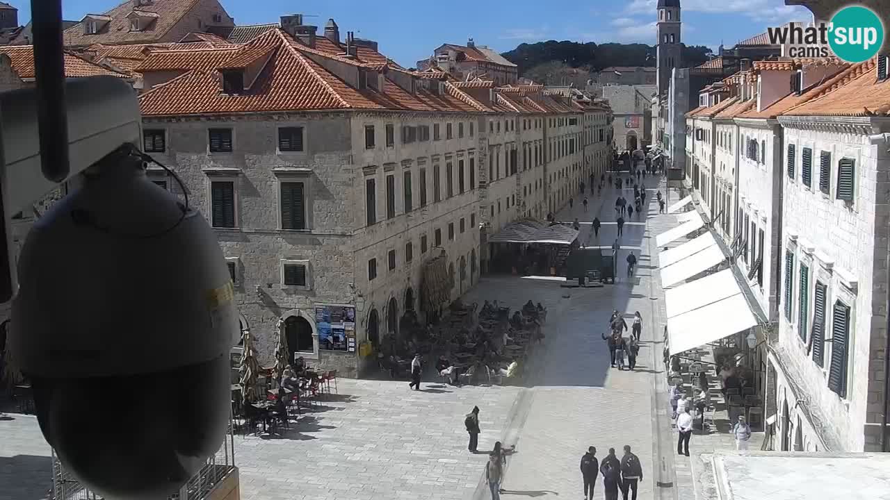 Live Webcam Dubrovnik Stradun