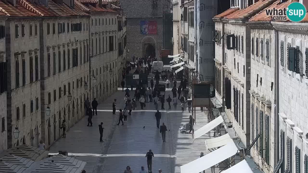 Camera en vivo Dubrovnik Stradun