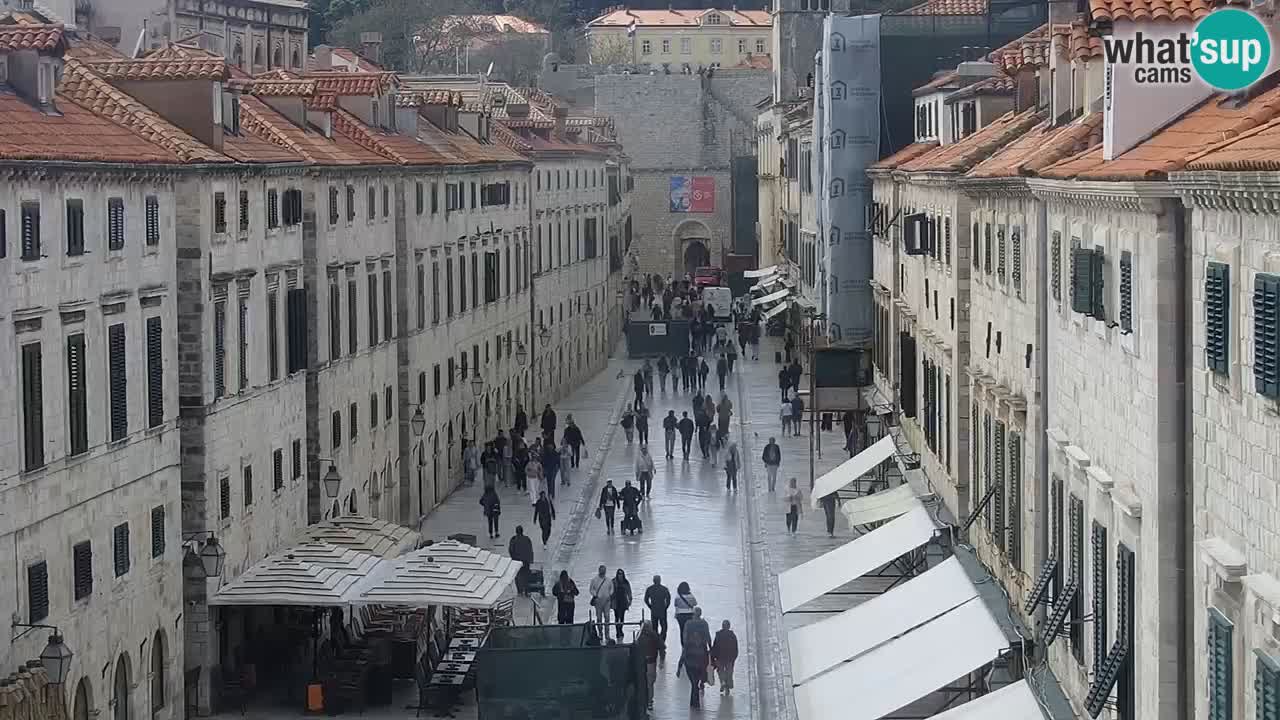 Live Webcam Dubrovnik Stradun