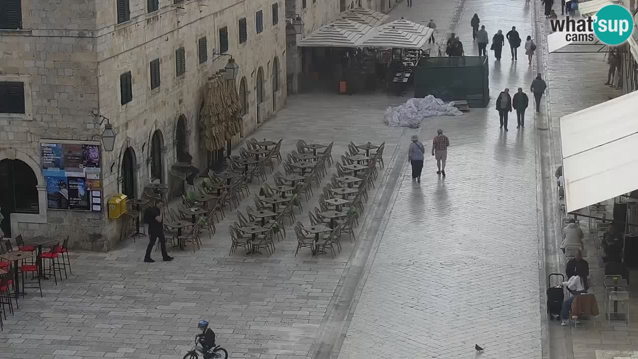 Webcam Ragusa (Dubrovnik) Stradun