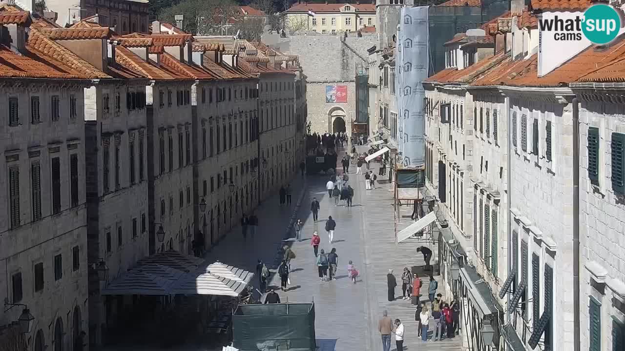 Livecam Dubrovnik Stradun