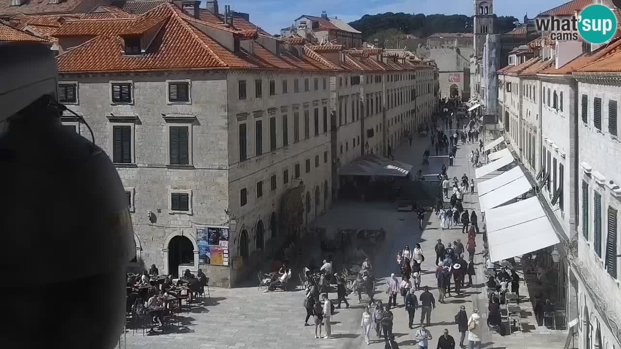 Livecam Dubrovnik Stradun
