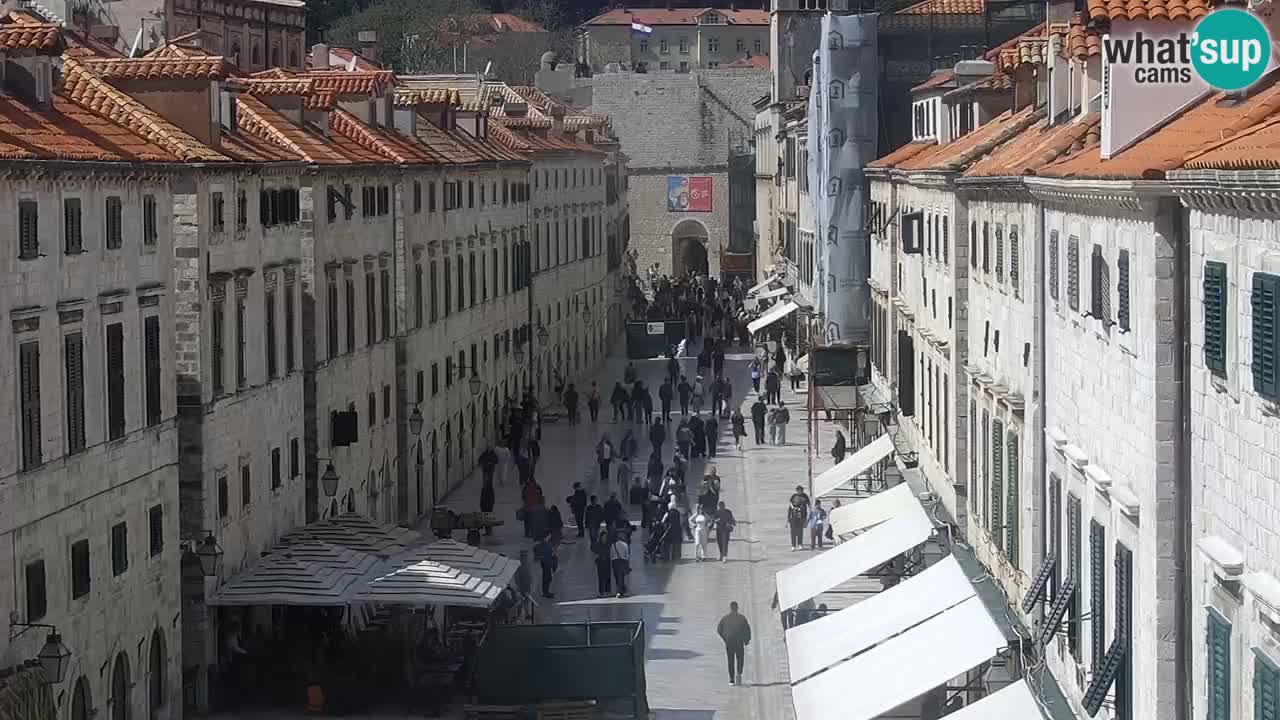 Livecam Dubrovnik Stradun