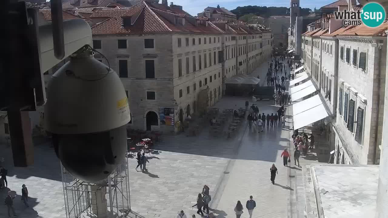 Camera en vivo Dubrovnik Stradun